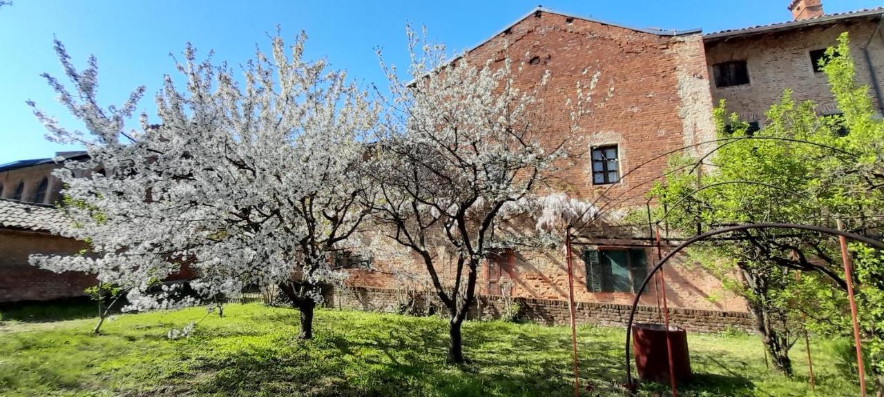 Agriturismo Olivazzi Villa Quattordio Exterior photo